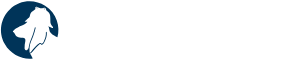Truthsift Logo